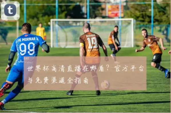 世界杯直播在线观看高清官方渠道指南