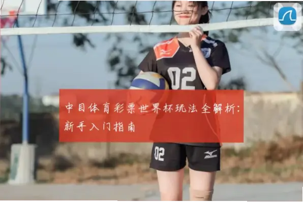 世界杯体彩玩法新手入门指南